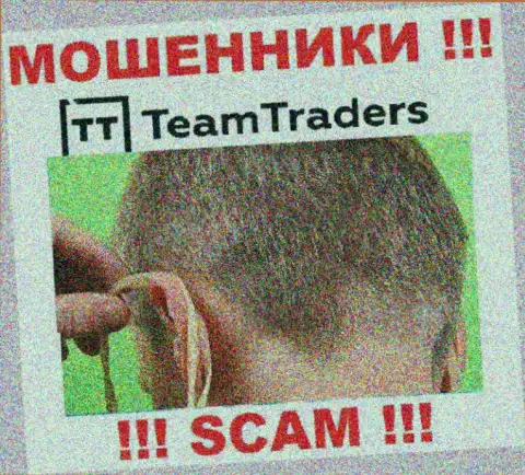 С организацией Team Traders заработать не получится, заманят в свою организацию и оставят без копейки
