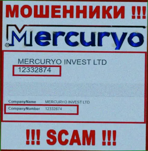 Регистрационный номер мошеннической компании Mercuryo Co - 12332874