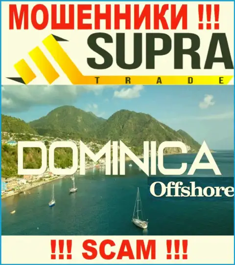 Контора SupraTrade похищает финансовые активы лохов, зарегистрировавшись в офшоре - Dominica