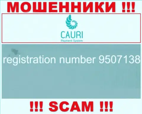 Регистрационный номер, принадлежащий противоправно действующей организации Каури Ком - 9507138