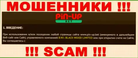 Юр лицо организации Pin-Up Bet - это Б.В.И. БЛЕК-ВУД ЛТД, информация взята с официального web-сервиса