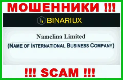 Бинариакс - это кидалы, а владеет ими Namelina Limited