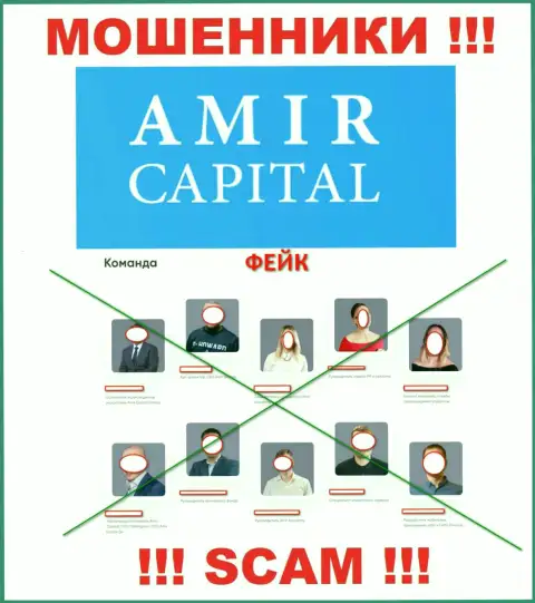 Мошенники Amir Capital беспрепятственно сливают деньги, так как на web-ресурсе опубликовали липовое прямое руководство