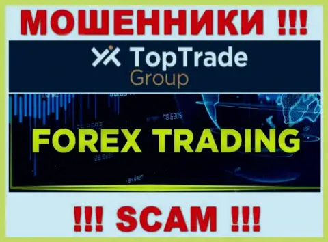 Top Trade Group - это internet-мошенники, их деятельность - Forex, направлена на кражу депозитов доверчивых людей