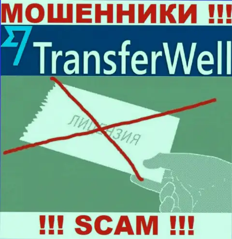 Вы не сможете найти инфу о лицензии интернет-обманщиков TransferWell, потому что они ее не смогли получить