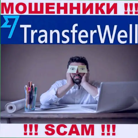 Деятельность TransferWell Net НЕЛЕГАЛЬНА, ни регулятора, ни лицензии на осуществление деятельности нет