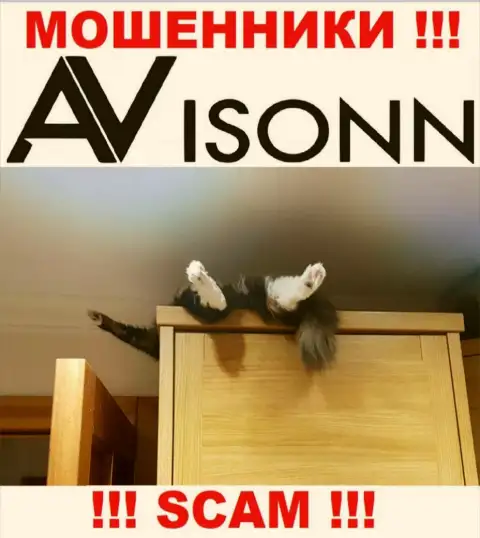 На сайте мошенников Avisonn Com Вы не отыщите инфы о их регуляторе, его просто НЕТ !!!