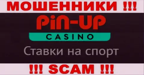 Основная деятельность PinUp Casino - это Casino, будьте весьма внимательны, действуют преступно