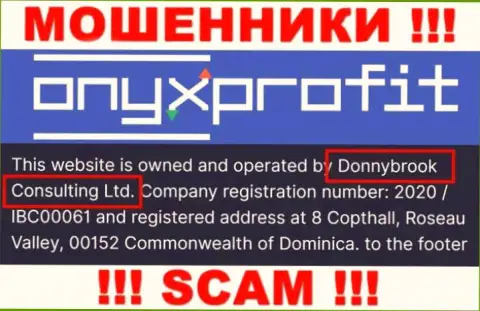Юридическое лицо организации OnyxProfit Pro - это Donnybrook Consulting Ltd, информация взята с официального веб-сервиса
