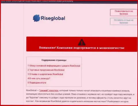 Внимательно проанализируете условия совместной работы RiseGlobal, в компании дурачат (обзор проделок)