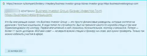 BusinessInvestorGroup - ЖУЛИКИ !!! Совместное взаимодействие с которыми может закончиться присваиванием финансовых активов - отзыв