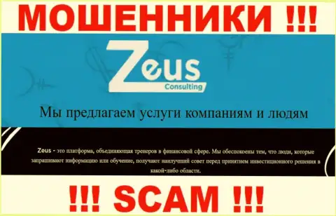 Направление деятельности обманщиков Zeus Consulting - это Consulting, но имейте ввиду это обман !!!