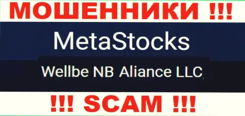 Юридическое лицо мошенников Meta Stocks - это Веллбе НБ Альянс ЛЛК