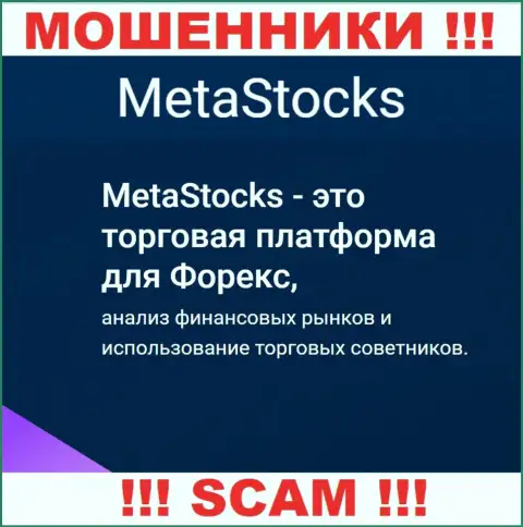 ФОРЕКС - конкретно в данной области действуют ушлые интернет мошенники MetaStocks
