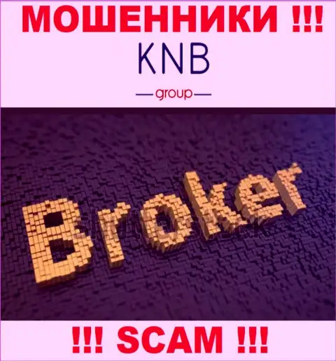 Сфера деятельности жульнической компании KNB Group - это Брокер