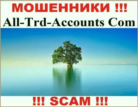 All-Trd-Accounts Com прикарманивают денежные вложения и остаются без наказания - они спрятали сведения о юрисдикции