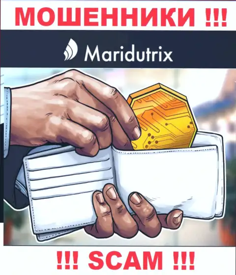 Крипто-кошелек - именно в такой области прокручивают свои делишки циничные internet мошенники Maridutrix