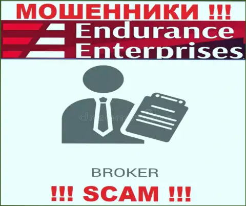 Endurance Enterprises не вызывает доверия, Брокер - это именно то, чем заняты указанные воры