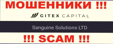 Юр лицо GitexCapital - Сангин Солютионс ЛТД, именно такую информацию расположили мошенники на своем сервисе