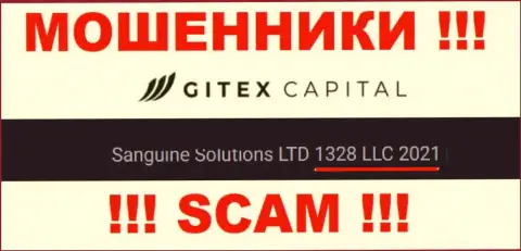 Регистрационный номер конторы Gitex Capital: 1328LLC2021