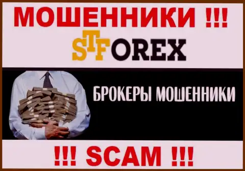 Мошенники STForex Com только лишь задуривают мозги клиентам, гарантируя баснословную прибыль