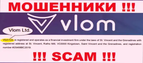 Юридическое лицо, управляющее internet ворами Влом - это Vlom Ltd