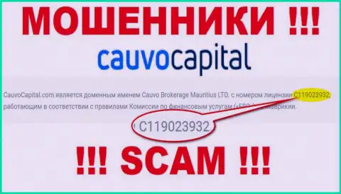 Лохотронщики CauvoCapital Com искусно грабят наивных клиентов, хотя и разместили свою лицензию на информационном портале