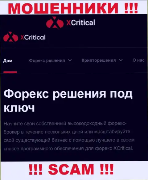 XCritical Com - это подозрительная контора, направление деятельности которой - ФОРЕКС