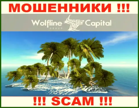Мошенники Wolfline Capital не размещают правдивую инфу касательно их юрисдикции