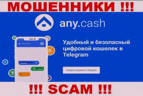 АниКеш - это интернет-обманщики, их работа - Виртуальный кошелек, направлена на воровство финансовых средств доверчивых людей