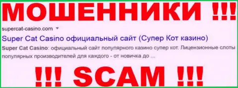 SuperCat Casino - это МОШЕННИКИ !!! SCAM !!!